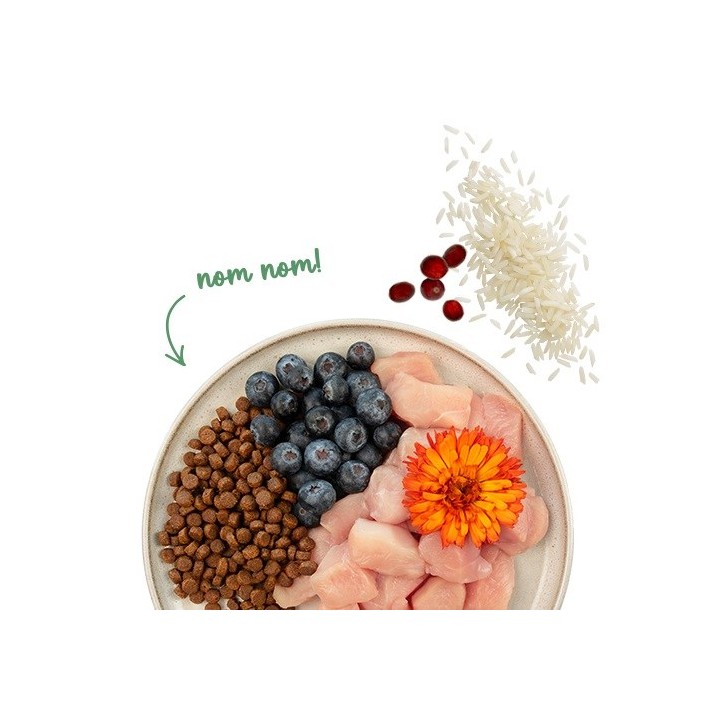 BOSCH Sanabelle Sensitive con pollo - cibo secco per gatti - 2kg