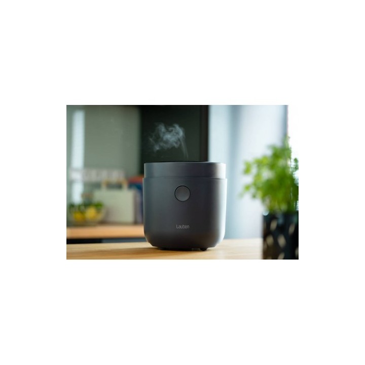 Lauben LBNRCD1500AT cuociriso 1.5 L 500 W nero