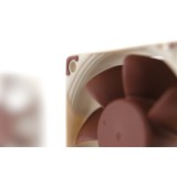 Noctua NF-A6x25 5V PWM Ventola case per PC 6 cm Beige