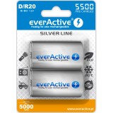 Batterie ricaricabili everActive R20/D Ni-MH 5500 mAh pronte all'uso