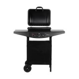 Barbecue a gas 2 bruciatori Teesa BBQ 2000