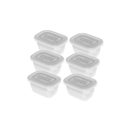 ROTHO Freeze - contenitore per congelatore - 6x250ml