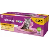 WHISKAS Junior Pollame in gelatina - cibo umido per gatti - 40 x 85g