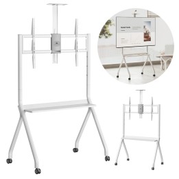 Maclean TV carrello / supporto telecamera con ripiano su rotelle 55-100 carico max 120kg/10kg ripiano max. VESA 900x600 bianco M