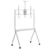 Maclean TV carrello / supporto telecamera con ripiano su rotelle 55-100 carico max 120kg/10kg ripiano max. VESA 900x600 bianco M