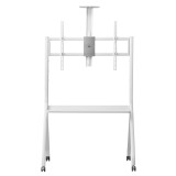 Maclean TV carrello / supporto telecamera con ripiano su rotelle 55-100 carico max 120kg/10kg ripiano max. VESA 900x600 bianco M