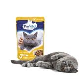 PREVITAL Pollo in gelatina - cibo umido per gatti - 100g