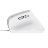 Trust Bayo II Mouse ufficio destrorso USB Type-A ottico 2400 DPI