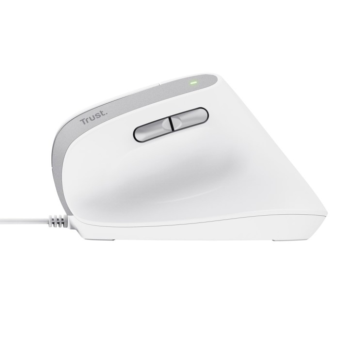 Trust Bayo II Mouse ufficio destrorso USB Type-A ottico 2400 DPI