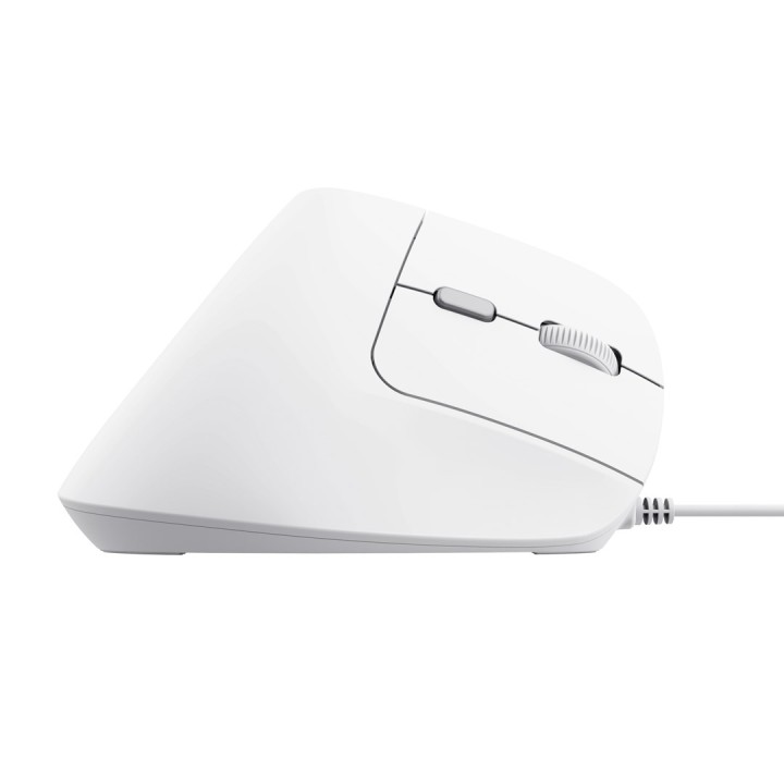 Trust Bayo II Mouse ufficio destrorso USB Type-A ottico 2400 DPI