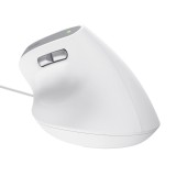Trust Bayo II Mouse ufficio destrorso USB Type-A ottico 2400 DPI