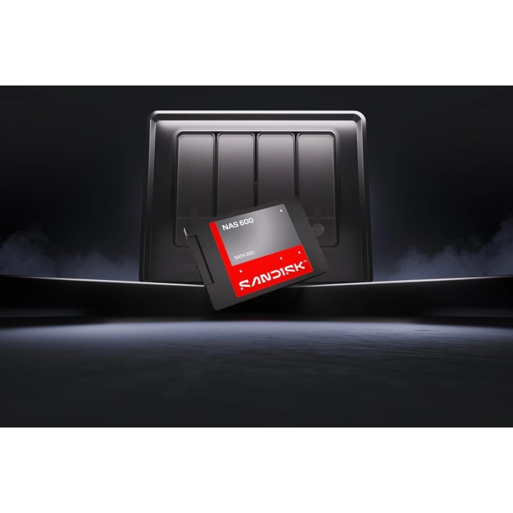 SanDisk NAS 600 500 GB 2.5 Serial ATA III TLC 3D NAND