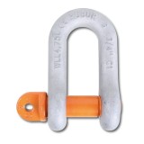Beta 8026R T4,75 Grilli diritti per sollevamento, perno a vite, acciaio legato ad alta resistenza staffa zincata a caldo 0802602