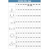Beta 8049A M6 Golfari maschio per sollevamento a doppia articolazione, girevole sotto carico 080490106