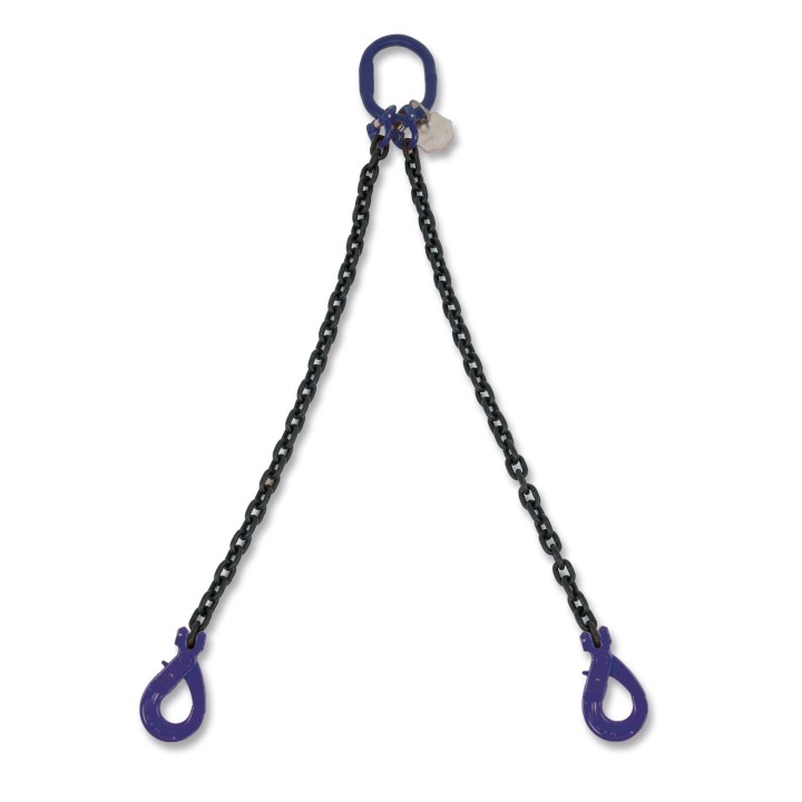 Beta 8092SL/G10 D13-2 Pendente per sollevamento catena a 2 bracci, ganci Self-Locking G10 080921332