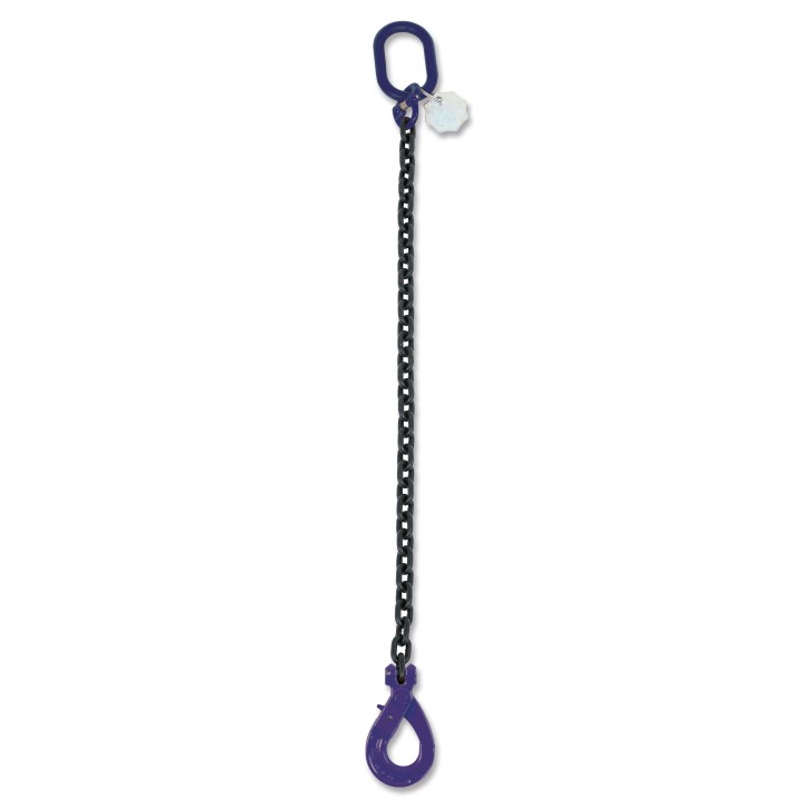 Beta 8091SL/G10 D6-1 Pendente per sollevamento catena a 1 braccio, gancio Self-Locking G10 080911201