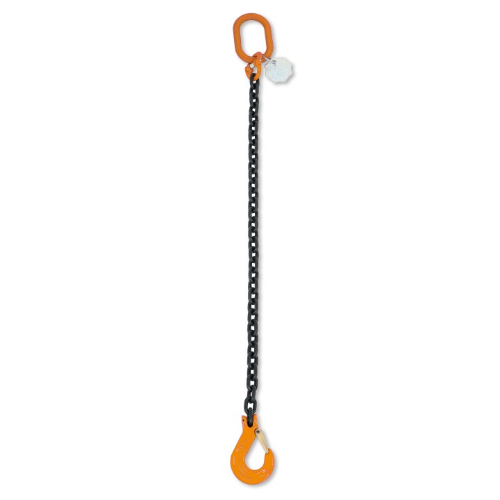 Beta 8091 D10-1 Pendente per sollevamento catena a 1 braccio grado 8 080910051