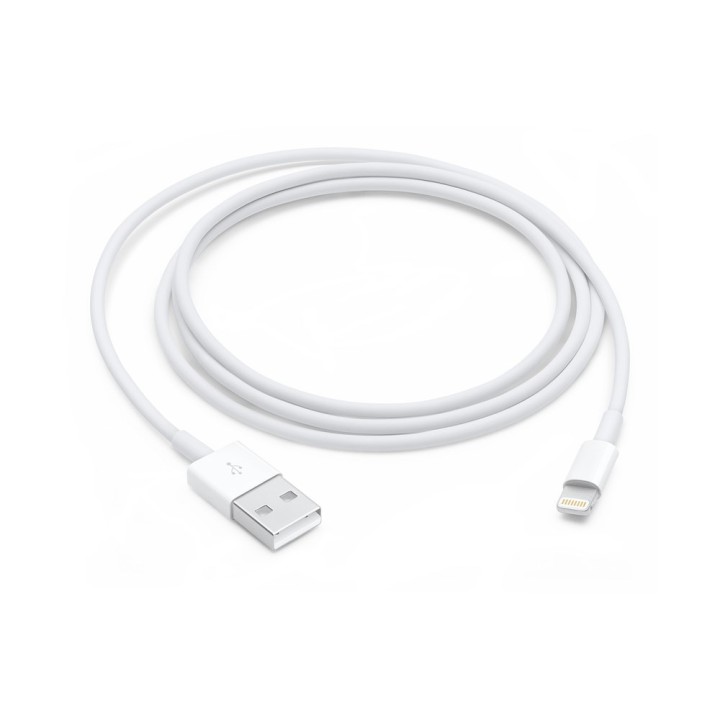 Apple Cavo Lightning a USB (1 m)