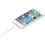 Apple Cavo Lightning a USB (1 m)