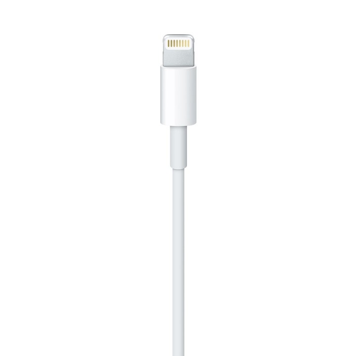 Apple Cavo Lightning a USB (1 m)