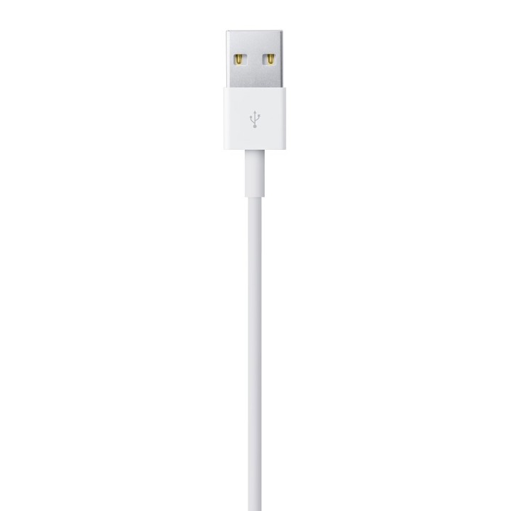 Apple Cavo Lightning a USB (1 m)