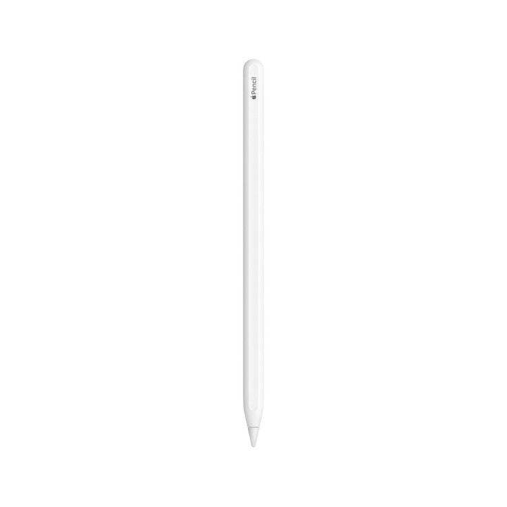 Apple Pencil (2a gen)