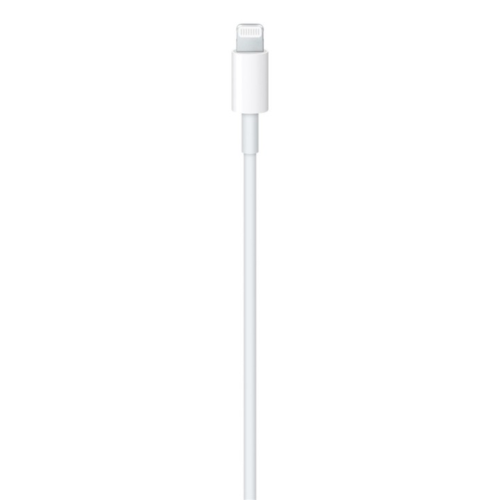 Cavo Apple USB-C a Lightning (2m)
