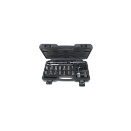 Beta 960PI/C19 Assortimento di 19 utensili per la pulizia sedi iniettori 009600217