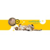 3COTY 01 Pollo - cibo umido per gatti - 180g