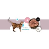 3COTY 24. Tacchino e oca - cibo umido per gatti - 180g
