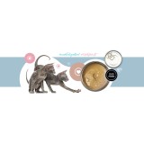 3COTY 41. Tacchino e pollo per gattini - cibo umido per gatti - 180g