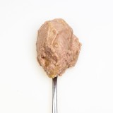 3COTY 42. Pollo e anatra (gattini) - cibo umido per gatti - 180g