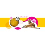 3COTY Cheers! 61. Pollo - cibo umido per gatti - 160g