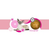 3COTY Cheers! 62. Tacchino - cibo umido per gatti - 160g