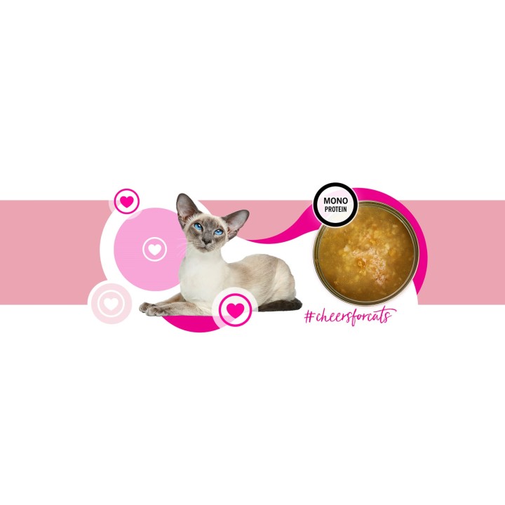 3COTY Cheers! 62. Tacchino - cibo umido per gatti - 160g