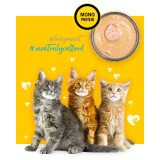 3COTY Pollo Per gattini - cibo umido per gatti - 80g