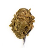 3COTY Pollo con spirulina - cibo umido per gatti - 80g
