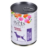 4VETS Natural Gastro Intestinal Cane - cibo umido per cani - 400 g