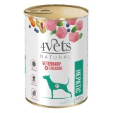 4VETS Natural Hepatic Cane - cibo umido per cani - 400 g