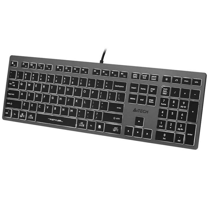 A4Tech FSTYLER FX60H (retroilluminato bianco) tastiera USB QWERTY nero grigio