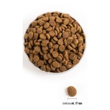 ACANA Adult Large Breed - cibo secco per cani - 11 4kg