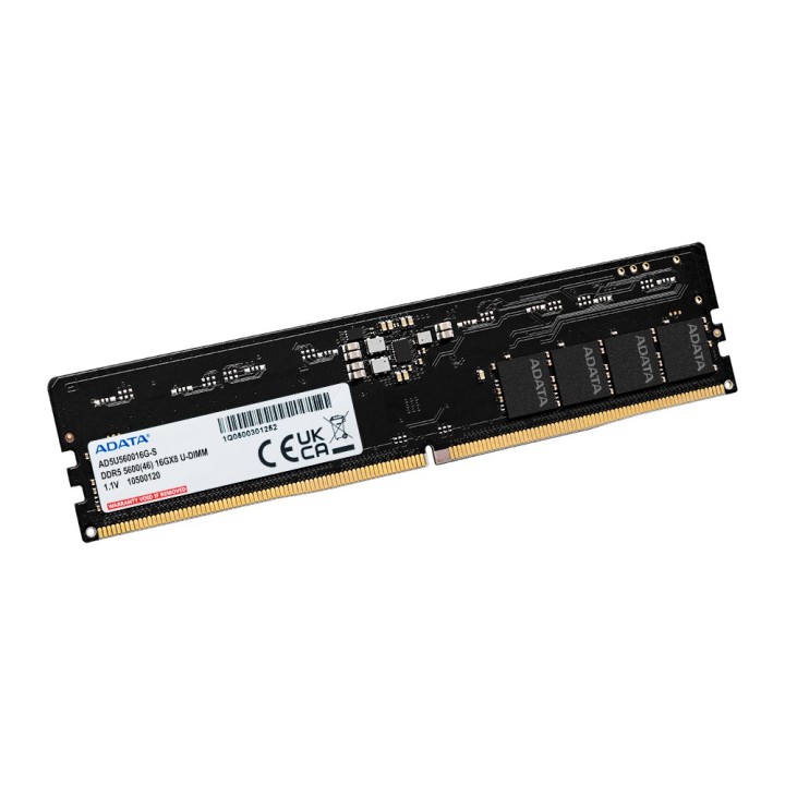 ADATA Premier modulo di memoria 16 GB 1 x 16 GB DDR5 288-pin DIMM