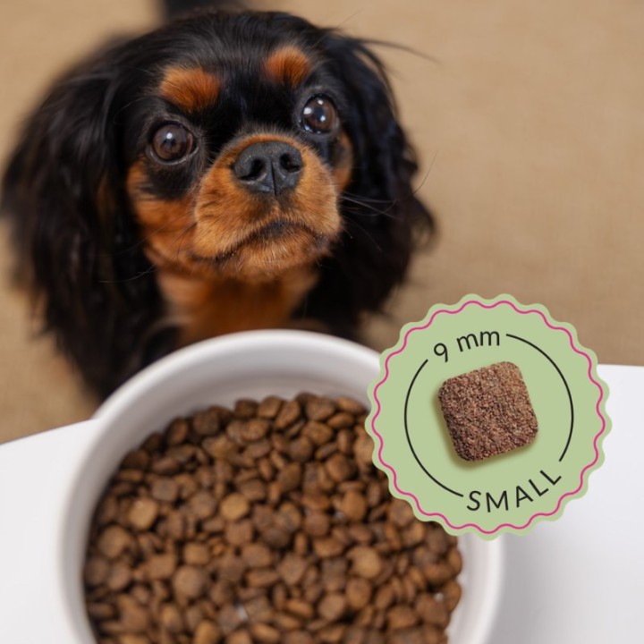ADDVENA Boosted by superfoods Adult Small Manzo - cibo secco per cani - 2 5kg