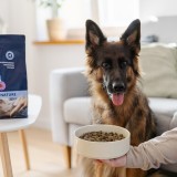 ADDVENA Power of Nature Adult Medium/Large Agnello - cibo secco per cani - 2 5kg
