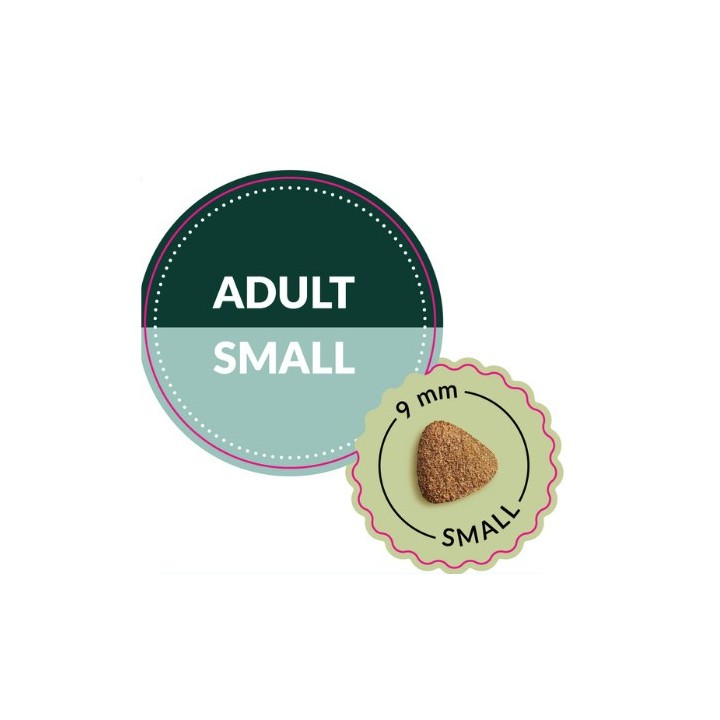 ADDVENA Power of Nature Adult Small Agnello - cibo secco per cani - 10kg