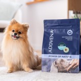 ADDVENA Power of Nature Adult Small Agnello - cibo secco per cani - 10kg
