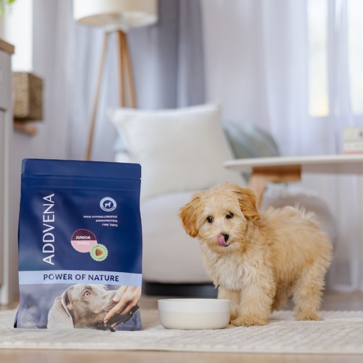 ADDVENA Power of Nature Junior Small Agnello - cibo secco per cani - 10kg