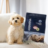 ADDVENA Power of Nature Junior Small Agnello - cibo secco per cani - 2 5kg