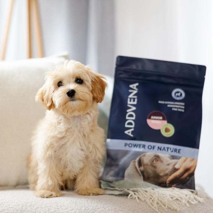 ADDVENA Power of Nature Junior Small Agnello - cibo secco per cani - 2 5kg