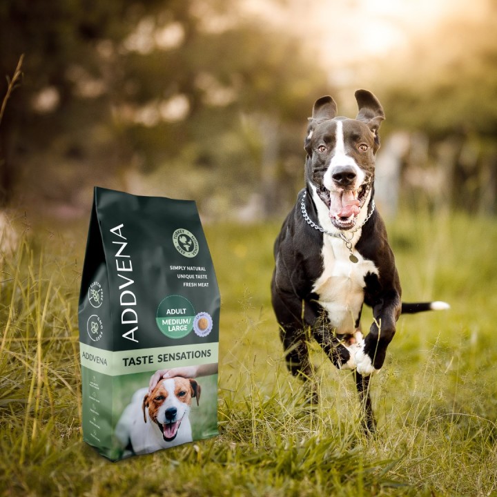 ADDVENA Taste Sensations Adult Medium/Large Tacchino - cibo secco per cani - 2 5kg